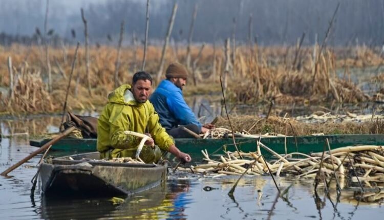 DAL-NIGEEN, KASHMIR’S LIFELINE