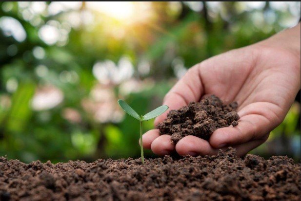 Patanjali University Organises Seminar on Soil Health and Sustainable Herbal Farming Practices