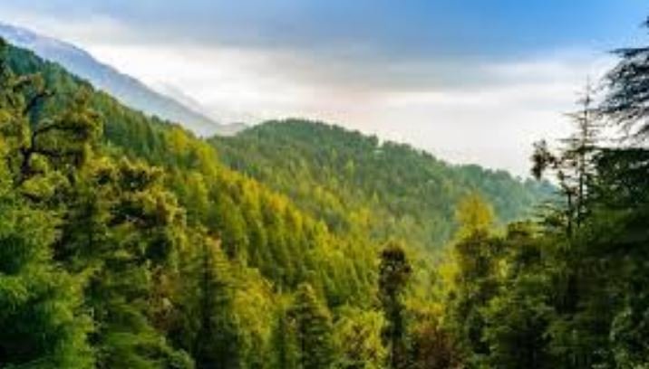 DEFENDERS OF J&K’S GREEN WEALTH
