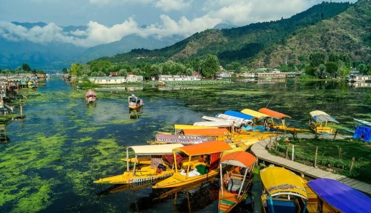 International Film Festival of Srinagar