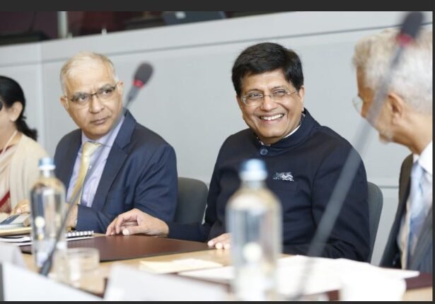 Piyush Goyal, Russian Minister Hold ‘Productive’ Talks on Cooperation in Textiles, Automobiles and Agriculture