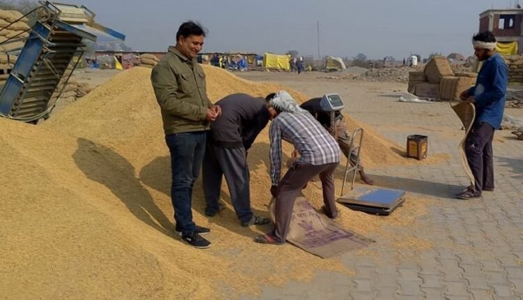 Paddy procurement touches record high in Jammu region