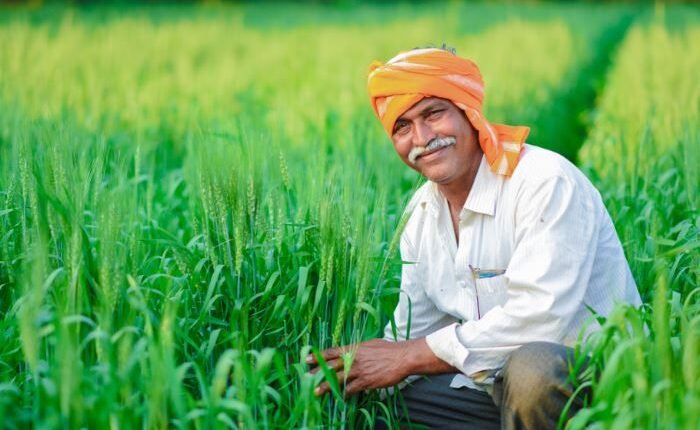 Agriculture First Policy