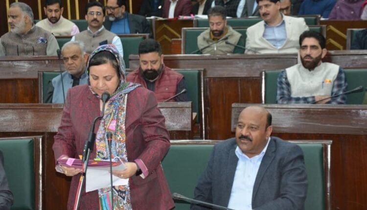 Govt committed to provide 200 units of free electricity to AAY families, project nears final approval: Sakeena Itoo