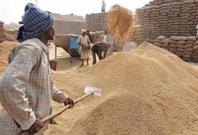 Govt Raises Paddy MSP to Rs 2,441 per Quintal, Sunflower Seed Gets Biggest Hike