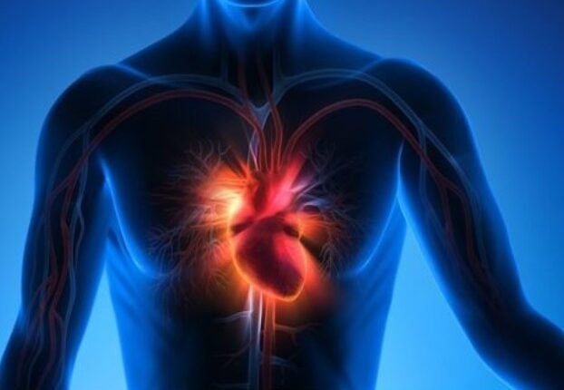 Experts Warn of Heart Risks From Extreme Workouts and Unregulated Supplement Use