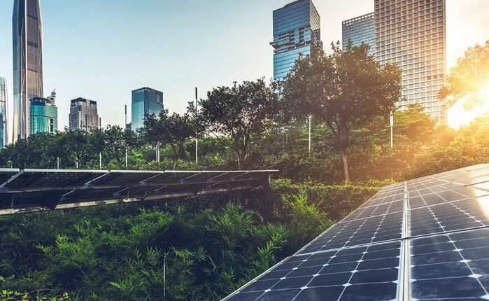 Development Needs Ecological Discipline