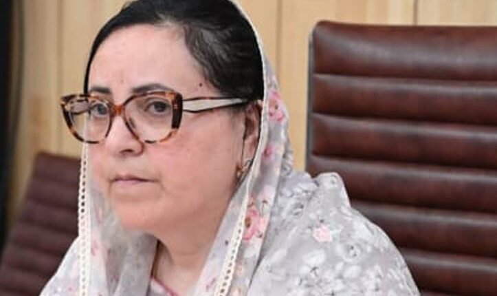 Sustained efforts being made to ensure inclusive, equitable development across J&K: Sakeena Itoo