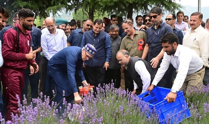 Omar Abdullah Opens Lavender Festival, Calls Crop New Chapter in J&K’s Prosperity Journey