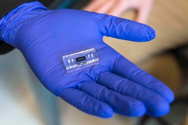 Harvard Team Turns Silicon Chip into DNA Writing Platform, Opening New Frontier in Biotech Computing
