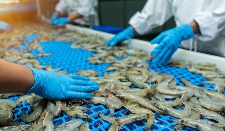 India Launches Marine Export Zones to Accelerate Seafood Exports and Coastal Economic Growth