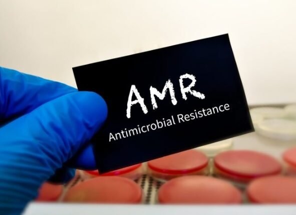 Global Health Experts Call for Stronger Action Against Antimicrobial Resistance