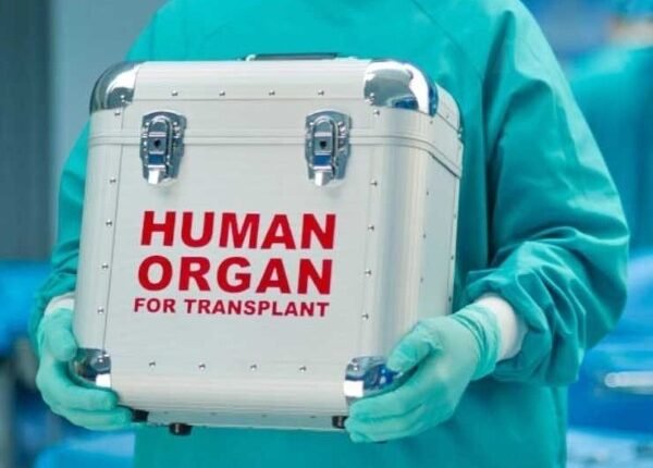 India Achieves Record 20,138 Organ Transplants in 2025, Crossing 5 Lakh Organ Donation Pledges