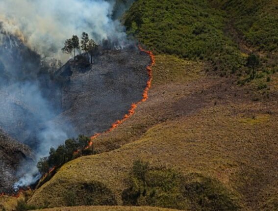 Indonesia battles growing wildfires as Mount Bromo blaze spreads