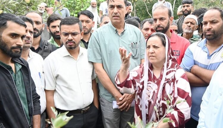 Sakeena Itoo tours hailstorm affected villages of Kulgam