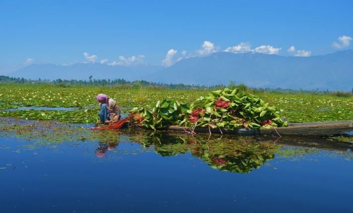 Protecting J&K’s Water Heritage