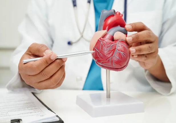 India Valve Registry Launched to Strengthen Evidence-Based Heart Care