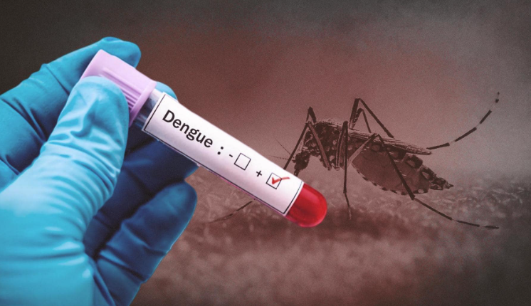Dengue Cases in Bhopal Rise as September Infections Surpass Last Year