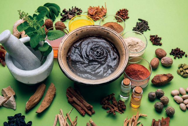 Ayurveda Gains Global Momentum as India Pushes Evidence-Based Healthcare