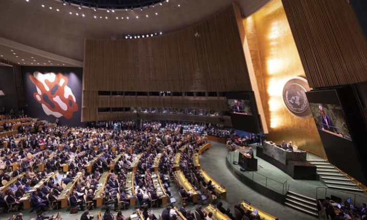 WHO Highlights Pandemic Preparedness and Health Financing at UN General Assembly