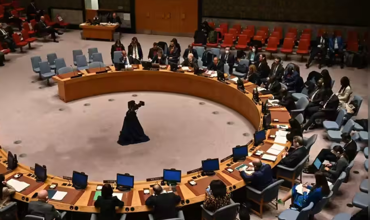 Tajikistan Says UNSC Bid Is About Contribution, Not Status