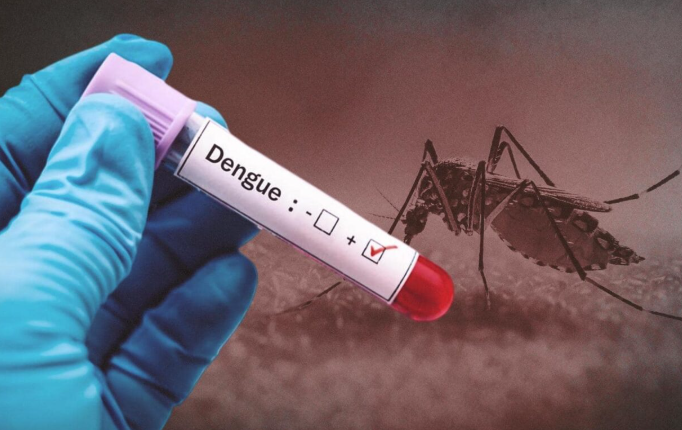Pune Reports First Suspected Dengue Death of 2026 as Cases Cross 2,000